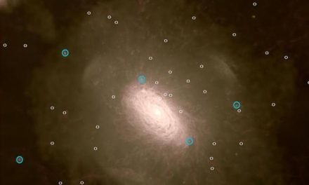 Le galassie ‘più sagge’ dell’Universo