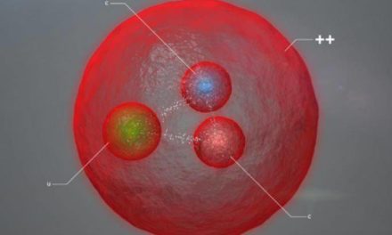 Una particella con due quark pesanti