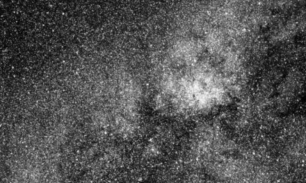 Duecentomila stelle per Tess