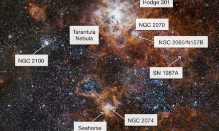 Foto di gruppo per la Nebulosa Tarantola e i suoi vicini