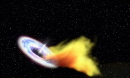 Buco nero di taglia intermedia colto sul fatto
