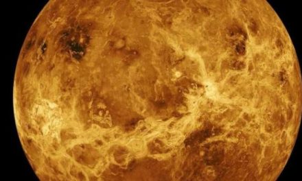 La pigrizia di Venere