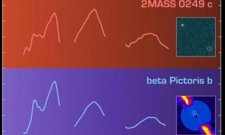 Esopianeti gemelli ‘diversi’