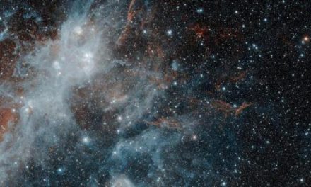 Tracce di supernova per Spitzer