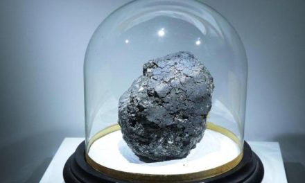 Nei meteoriti i ‘semi’ della vita sulla Terra