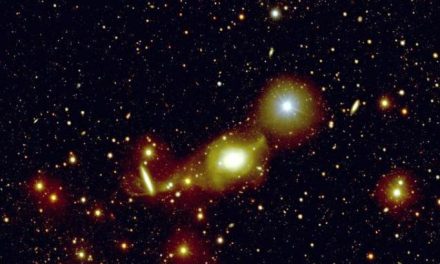 Elegante e vorace: svelati i dettagli di una galassia ellittica