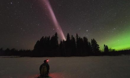Steve, l’aurora che non è un’aurora