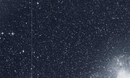 Tess immortala il cielo del sud