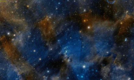 Gaia osserva l’esodo delle stelle nelle Vele e nel Camaleonte