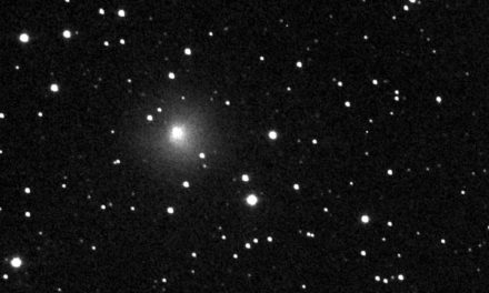29P, cometa ‘monocolore’