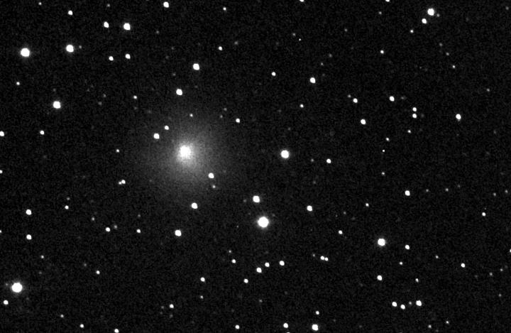 29P, cometa ‘monocolore’
