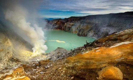 Gli ingredienti della vita sulla Terra