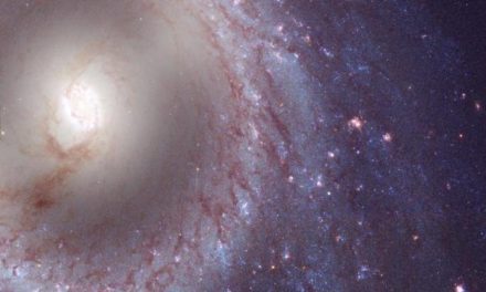 Hubble arricchisce la fotogallery Messier