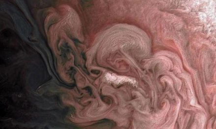 Sfumature rosa su Giove