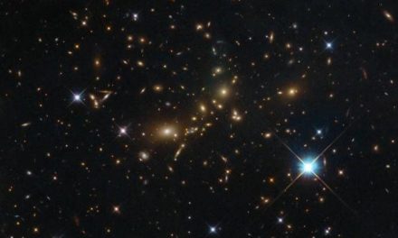 Un ammasso extra large per Hubble