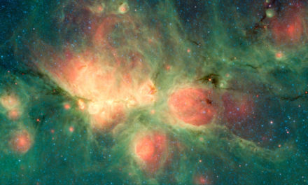 Nebulosa ‘felina’ in posa per Spitzer