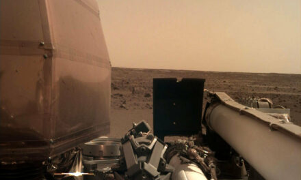 Mars Insight sul suolo marziano