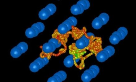 La doppia natura dell’acqua superionica