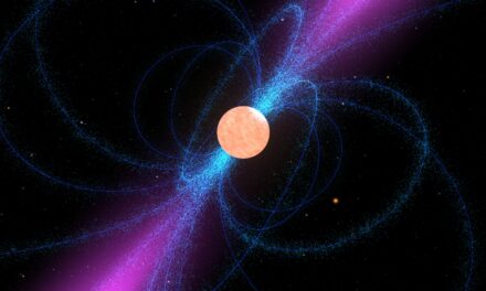 Nuove pulsar nel cielo alle alte energie