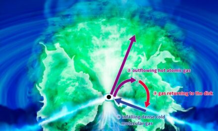 Anelli dinamici per il buco nero del Compasso