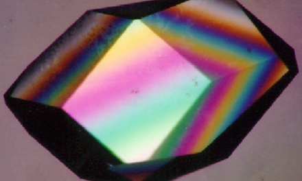 Perfect Crystals, il nuovo esperimento contro le radiazioni spaziali