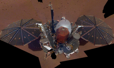 InSight fa il ‘divo’