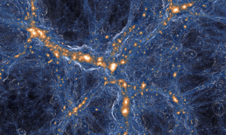 Fossile dal Big Bang