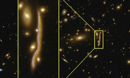 Anatomia di un ‘serpente’ cosmico