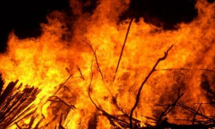 Aria, fuoco, Terra: gli antichi effetti degli incendi sul clima del pianeta