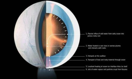 Cosa si cela nel nucleo di Encelado