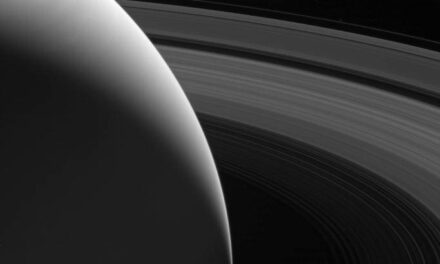 Dalla collezione di Cassini