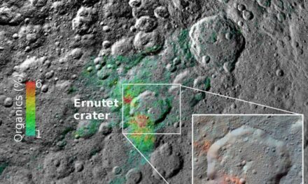 Dawn indaga sull’origine dei composti organici di Cerere