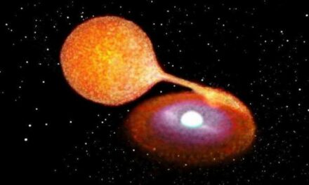 Esplosione di supernova, stella morta a metà