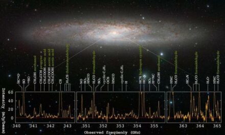 Foresta di molecole per NGC 253