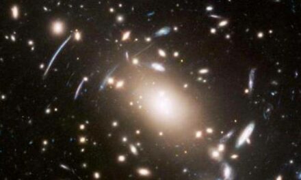 Galassie vaganti per Hubble