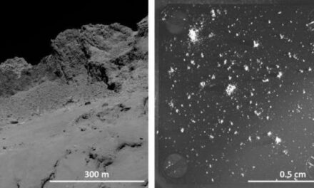 Gli ‘ingredienti’ di 67P