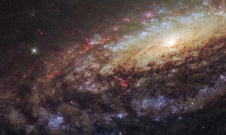 Hubble immortala la maestosa bellezza di Ngc 7331
