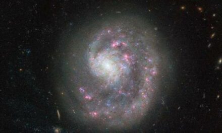 Hubble osserva NGC 4625, la galassia incompleta