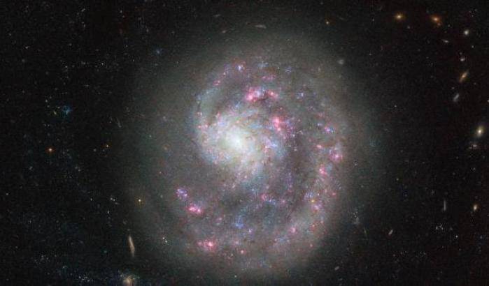 Hubble osserva NGC 4625, la galassia incompleta