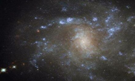 Hubble sguardo da Lince