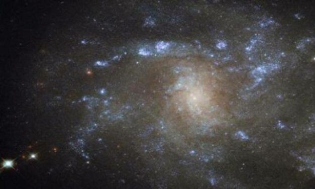 Hubble sguardo da Lince