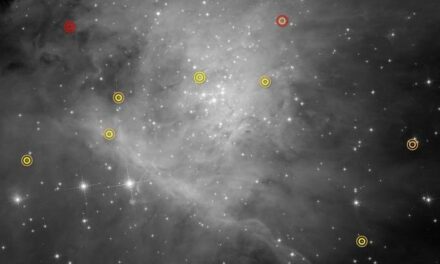 Hubble, ‘caccia grossa’ nella Nebulosa di Orione