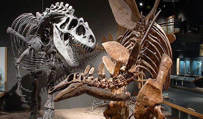 I dinosauri sono morti di freddo?