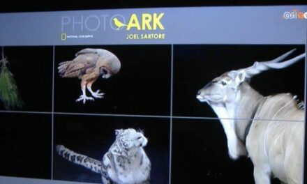 Il Festival delle Scienze presenta l’arca di Joel Sartore