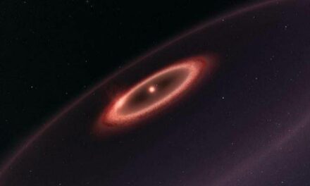 Il disco freddo di Proxima Centauri