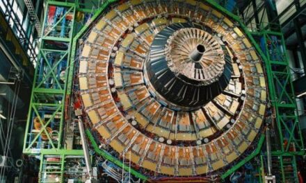 Il primo lustro del bosone di Higgs