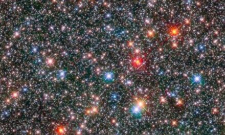 Il ‘cuore’ della Via Lattea nel mirino di Hubble
