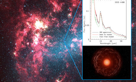 Quelle stelle avvolte in un mantello di polvere di ferro