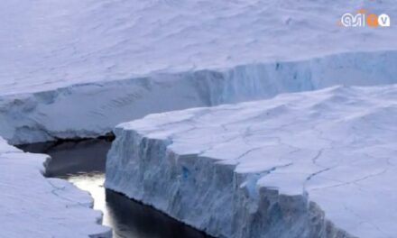 Larsen C prende il largo