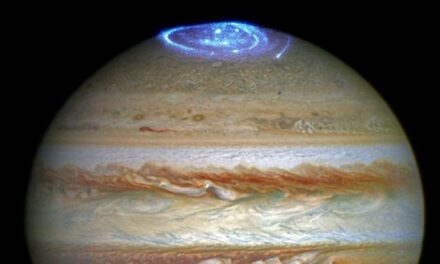 Le aurore indipendenti di Giove